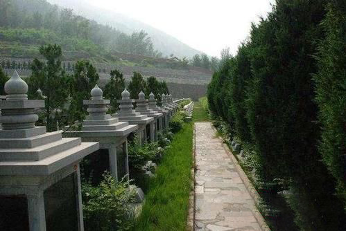 梦见选坟地