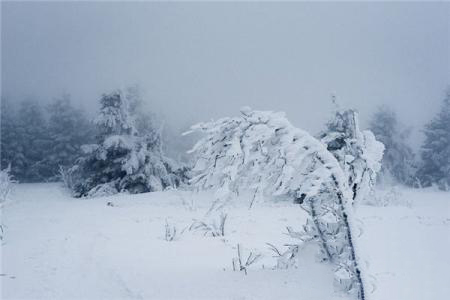 梦见下大雪