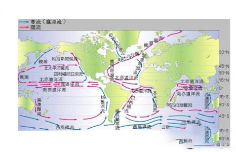 梦见跟随洋流在水上漂