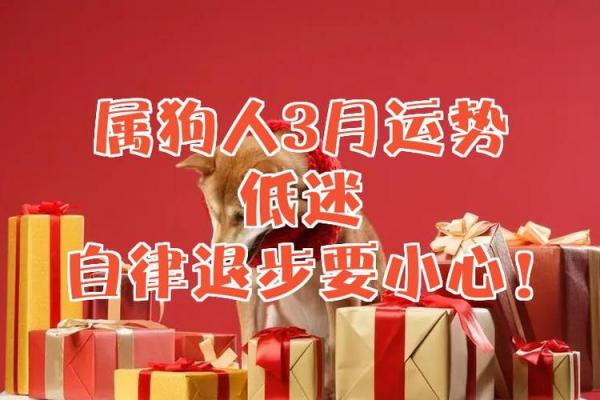 属狗者运势低迷如何化解