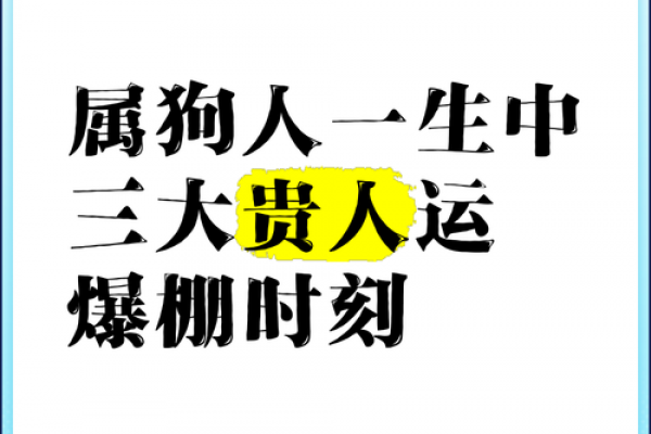 属狗人44岁是否迎来人生关键转折