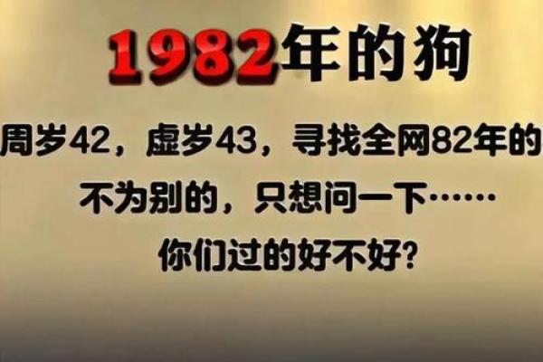 1982年出生属狗者晚年婚姻运势解析