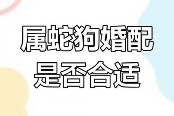 属狗再婚对象是谁，属狗二次婚姻能否幸福
