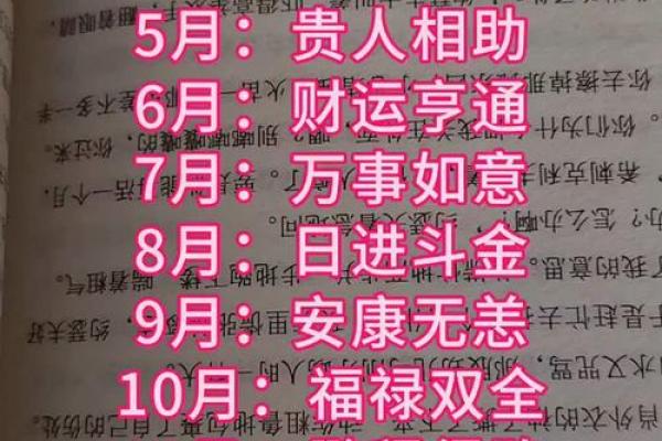 属狗者运势巅峰的年龄段