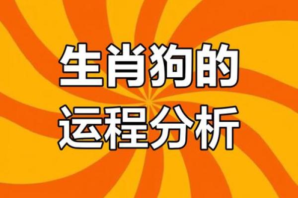 1982年属狗人最旺财方位指南