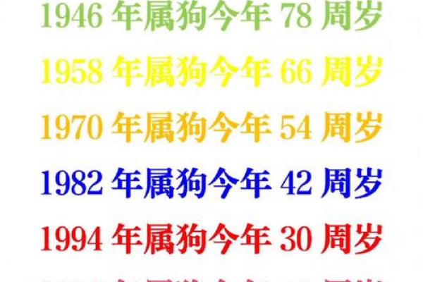 属狗者2026年真爱降临，爱情运势解析
