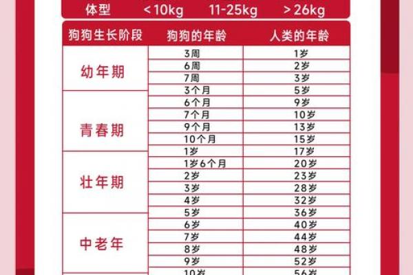丑时出生属狗人的命运解析
