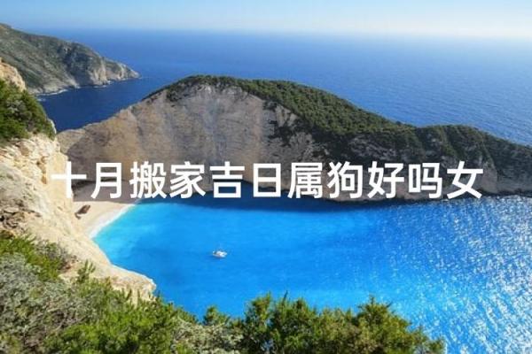 属狗人2026年搬家吉日