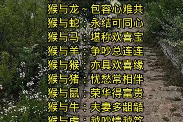 属猴人情劫与桃花劫年份