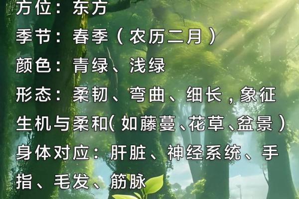木狗命的含义解析