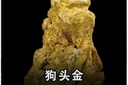 1994年属狗人一生子女数量