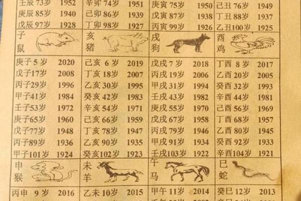 属猪命中有几个儿子