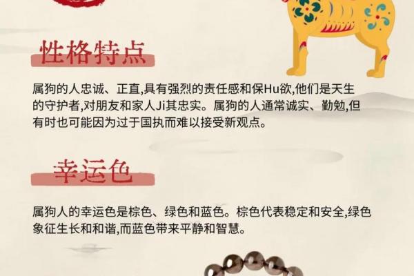 属狗人36岁后十年大运解析