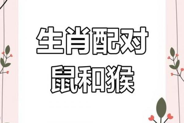 鼠女命中注定与何生肖相伴一生