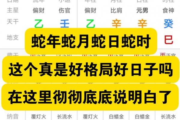 几月出生的蛇劳碌一生