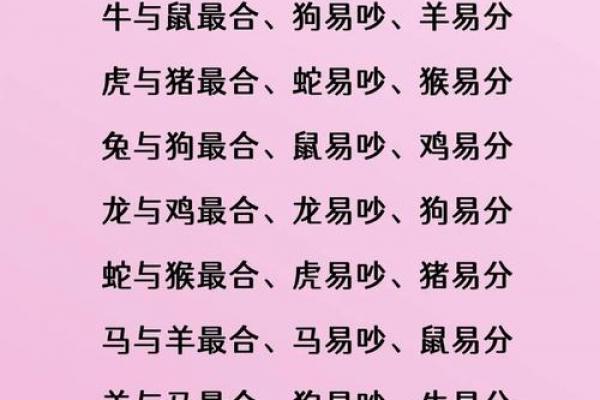 属兔者最佳生意搭档
