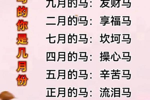 2026年属马人桃花运解析