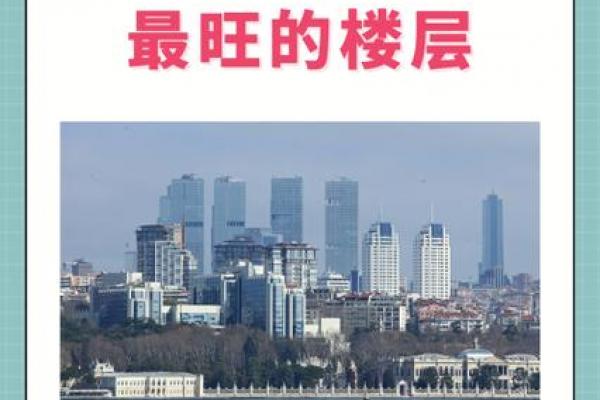 属龙大林木命适宜居住的楼层