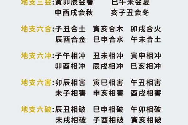 十二地支申金精要解析