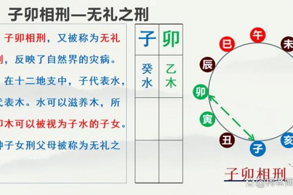 十二地支相刑总诀的深入解析