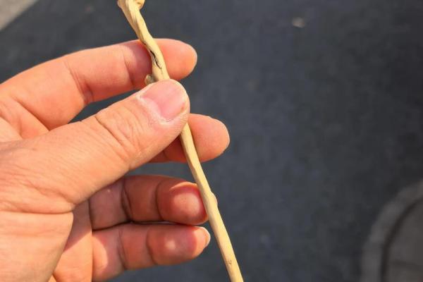木龙命者适宜佩戴哪些饰品