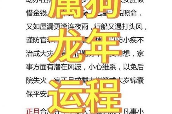 属狗者2026年添喜事注意事项