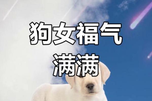 82年属狗女性2026年喜事预兆
