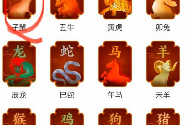 属鼠人的吉祥数字