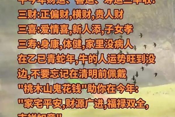 85年属牛男性离异后晚年生活是否美满
