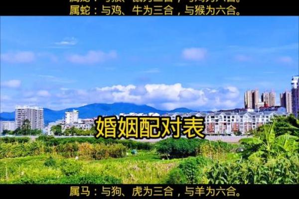 2026年龙女婚配对象预测