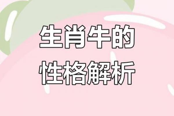 2009年出生属牛的男孩命运如何