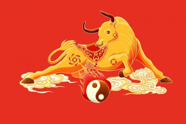 2009年出生属牛的男孩命运如何