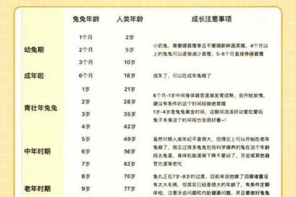 2026年属兔者添丁与子女运势