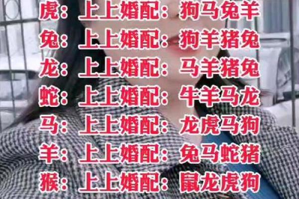 老虎女配哪个生肖最合拍