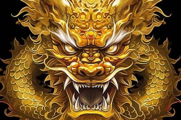 属龙者逢此三生肖好运连连