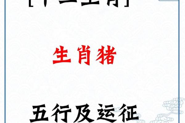 猪女最看不上哪个生肖男