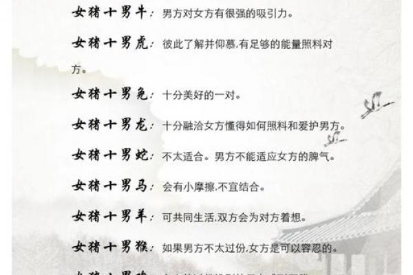 猪女最看不上哪个生肖男