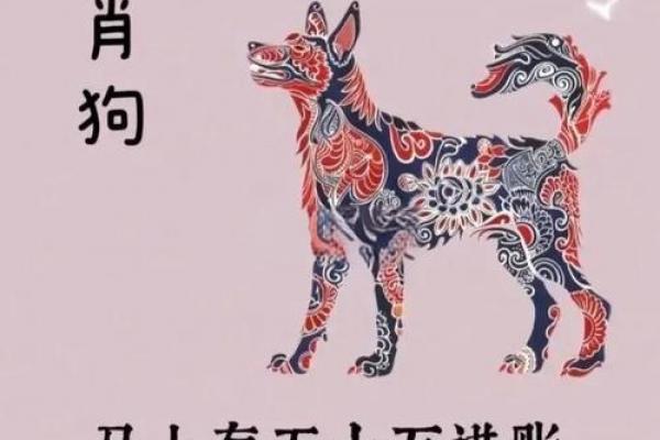 2026年属狗人的最大忌讳生肖是谁，需避开的生肖有哪些