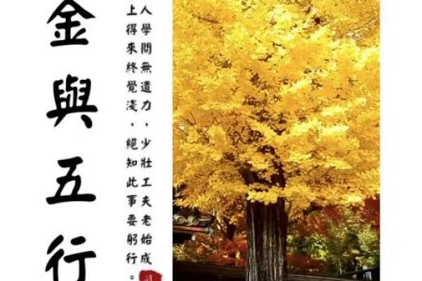 金与火能否结为夫妻