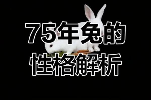 63年属兔男性晚年是否会离婚