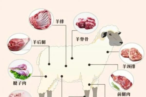水羊命最忌的三种东西