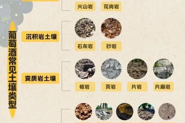 沙中土最忌的三种颜色