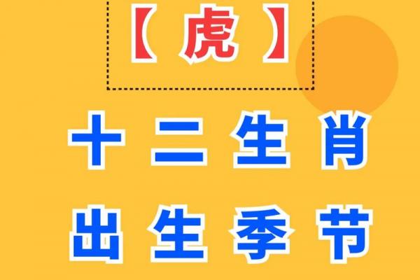 属虎者添丁吉年解析