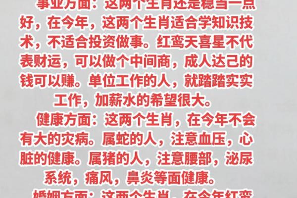 属猪者2026年感情运势全解析