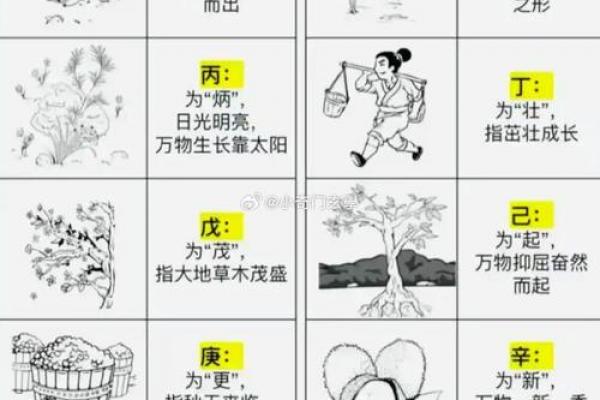 天干辛金的解析方法