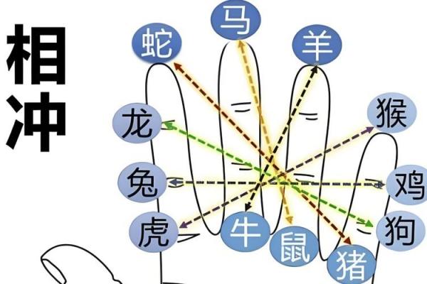 地支相冲八字推演实例