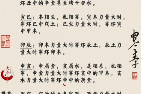 十二地支相破详解