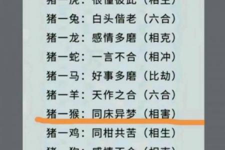 属猪命中有几个儿子