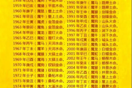 属虎人36岁后十年大运解析