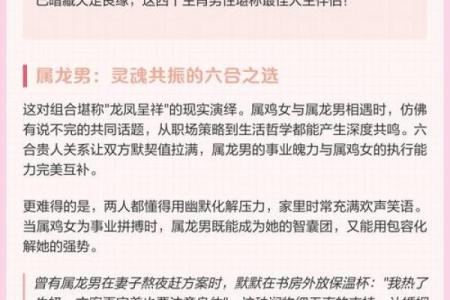 1981年属鸡女性的最终结局